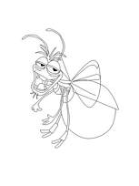 coloriage la luciole ray